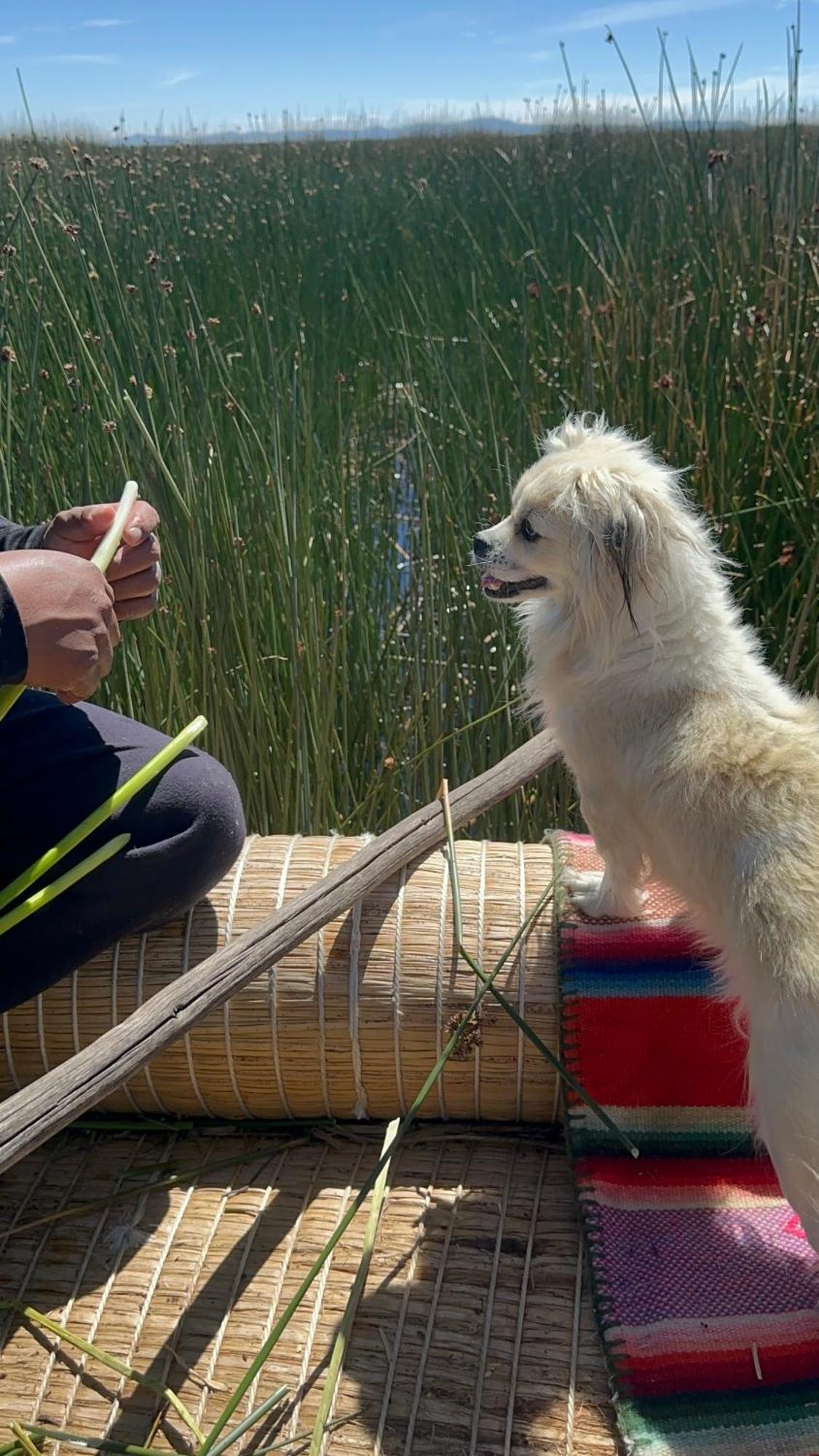 Uros Waliski Lodge 푸노 외부 사진